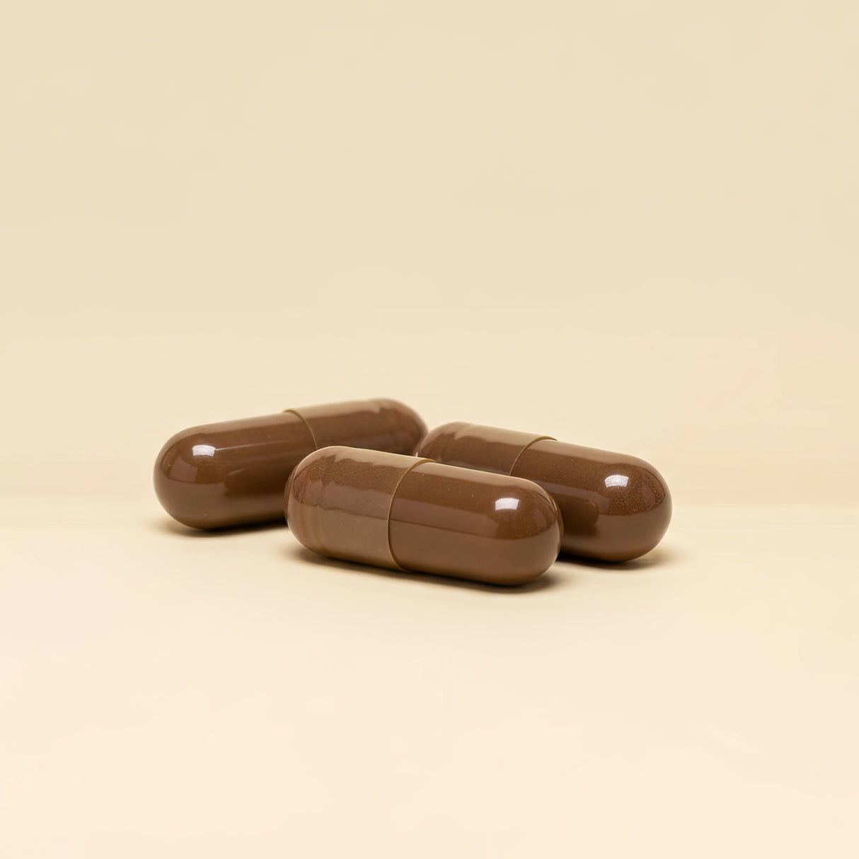 Chaga