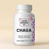 Chaga