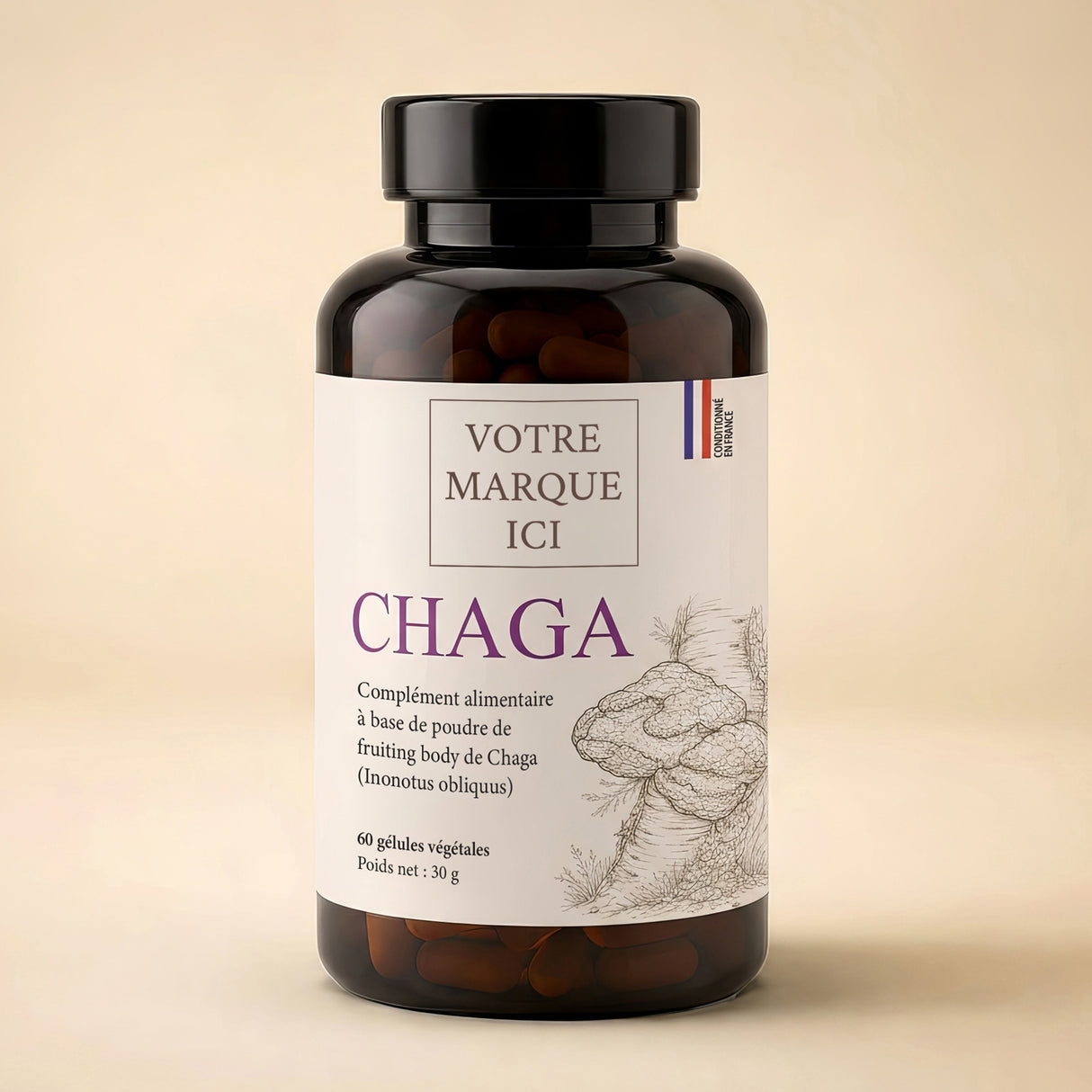 Chaga