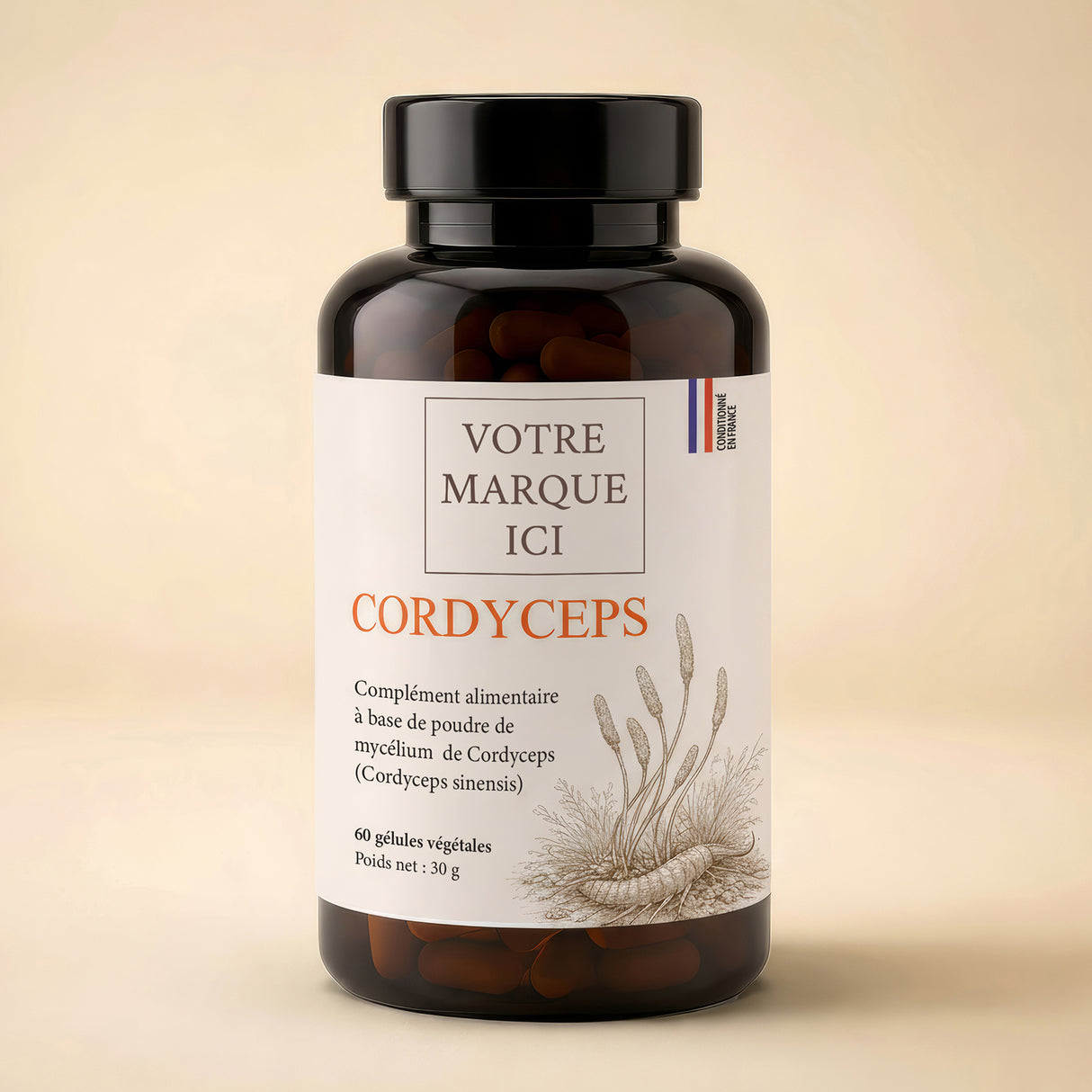Cordyceps