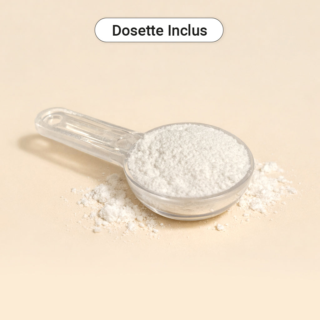 Créatine Monohydrate en poudre 500g