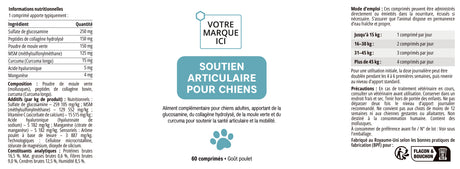 Soutien Articulaire pour chien