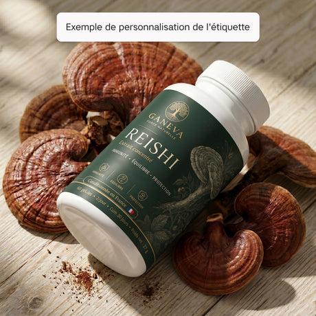 Reishi